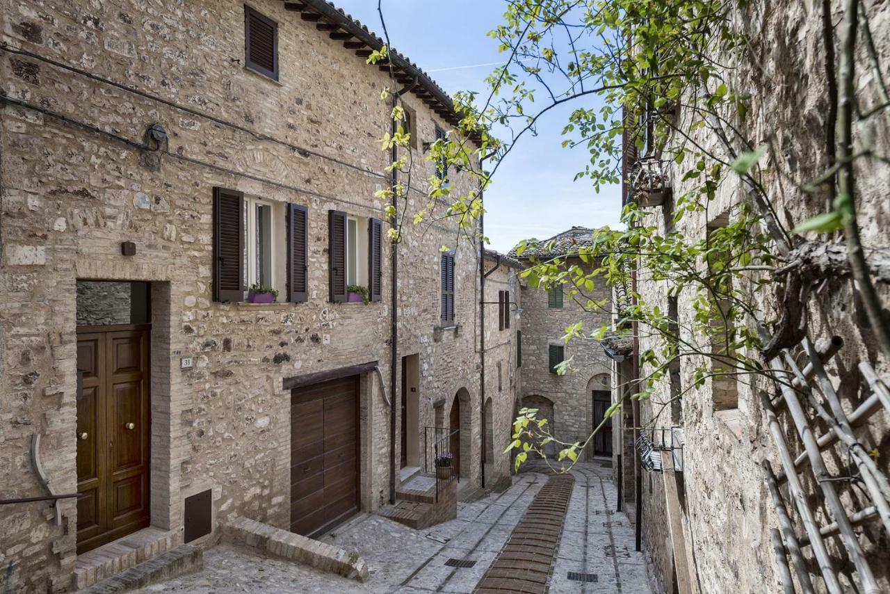 Villa Elisa سبيلّو المظهر الخارجي الصورة